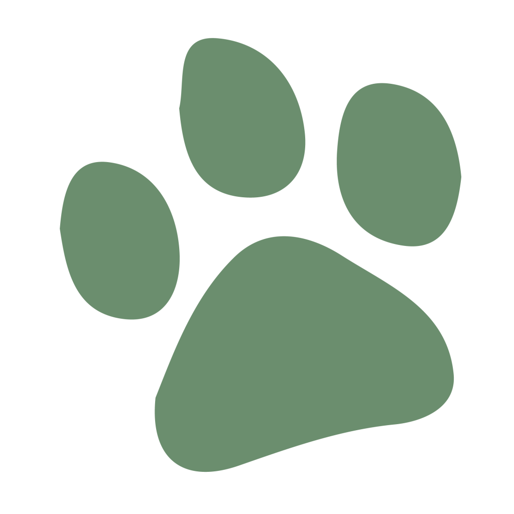 Alimentation pour chien