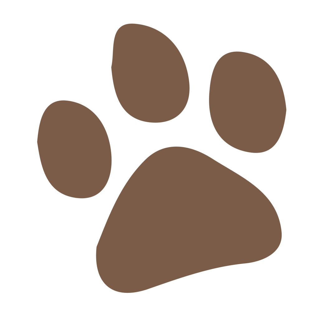 Alimentation naturelle pour chien